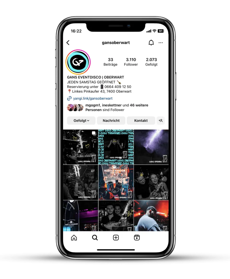 Gans · Instagram-Story