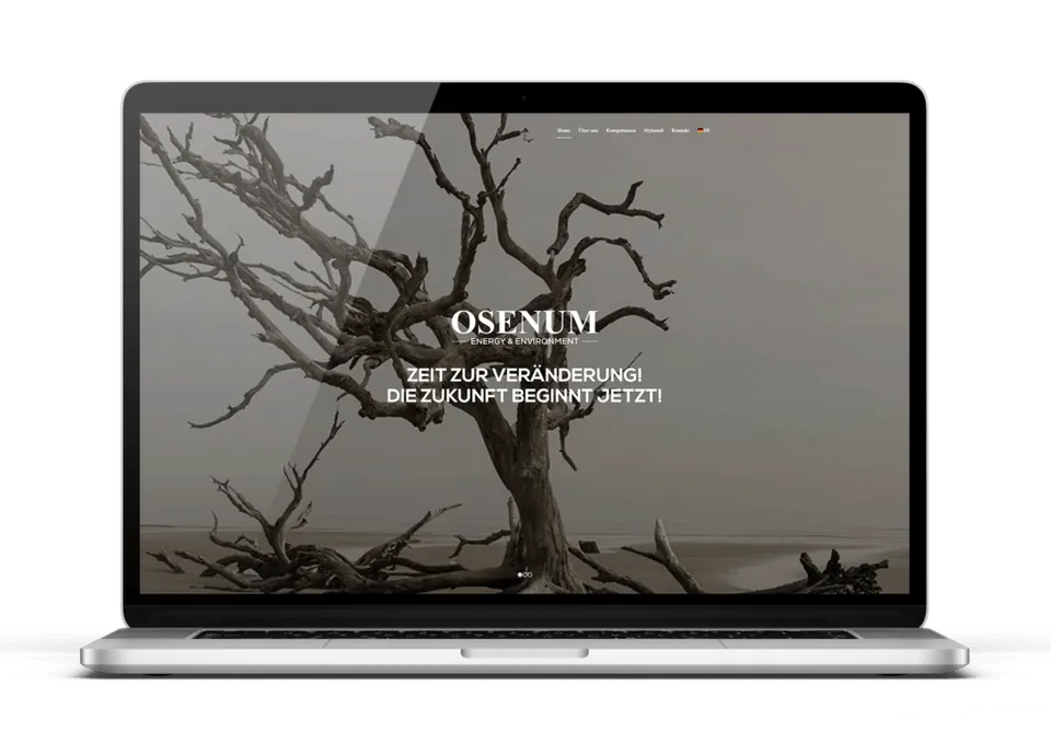 Osenum · Website
