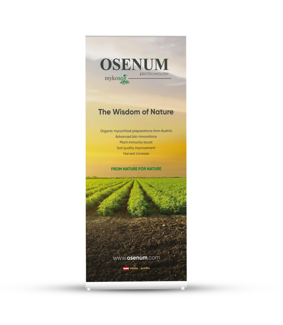 Osenum · Roll-up