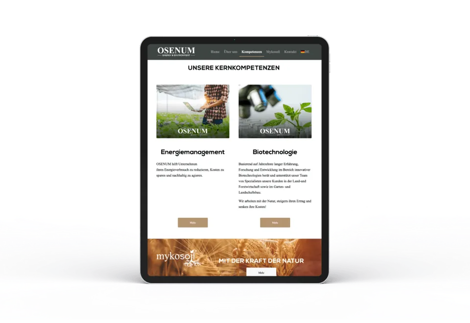 Osenum · Website