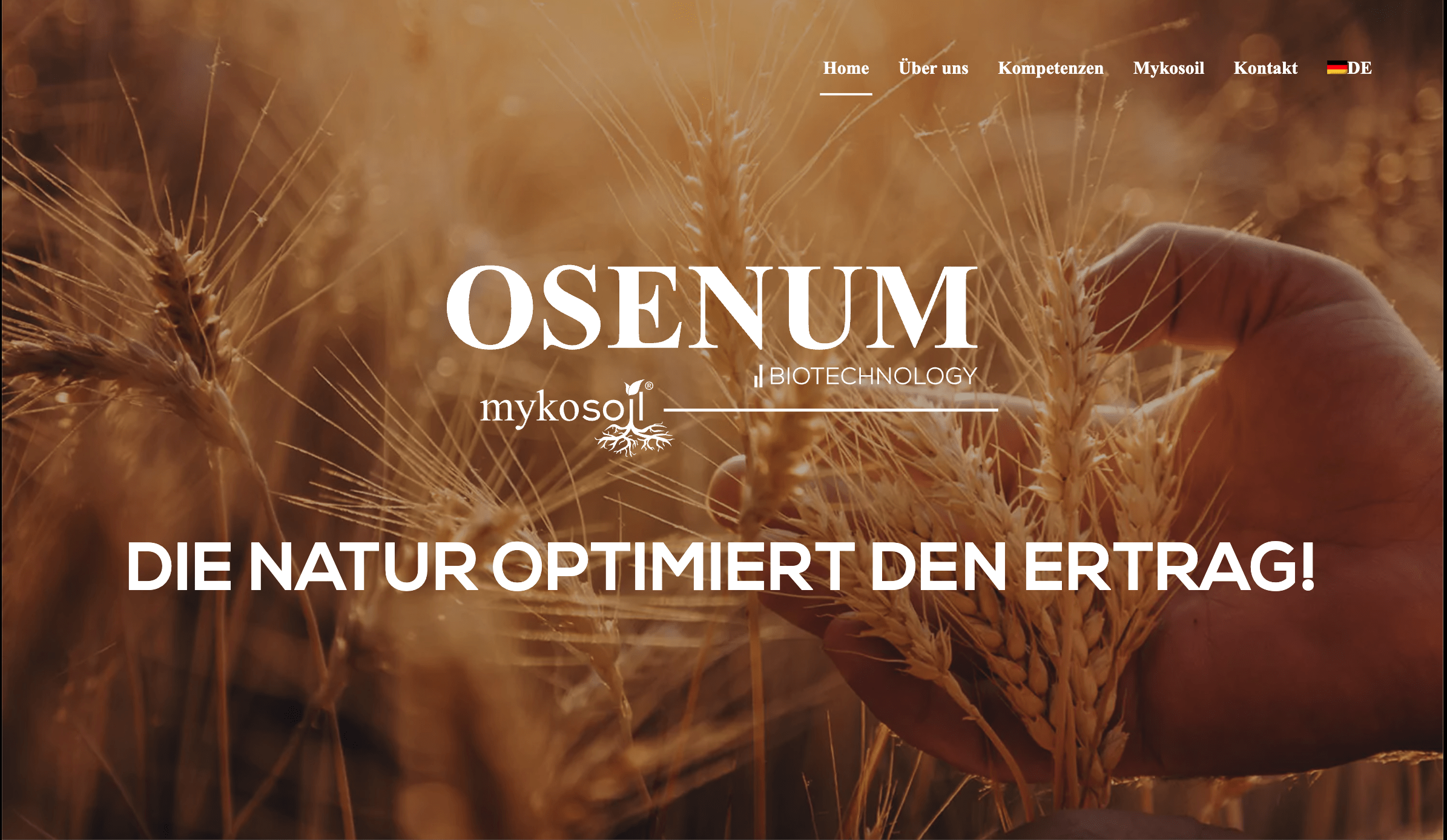 Osenum Website Plan & Los